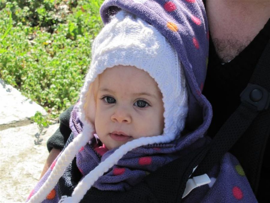 יעלה מטיילת